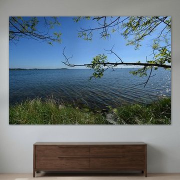 Randonnée à travers le Goor, Lauterbach sur l'île de Rügen