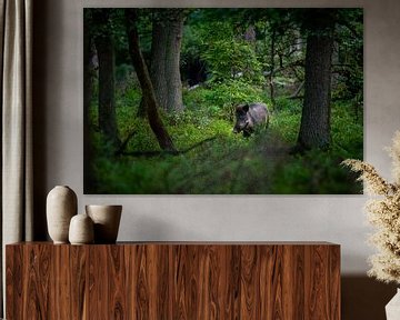 Wildschwein im Wald