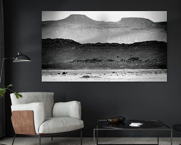 Dromedar in der Wüste von Sam Mannaerts