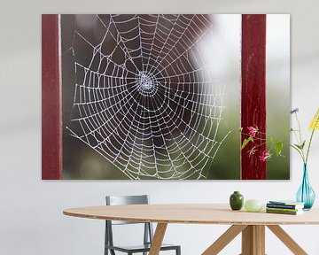 Spinnenweb van Jan Katuin