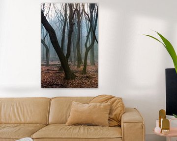 Foggy morning in the autumn forest on the Veluwe! by Peter Haastrecht, van