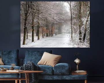 Winter landschap in Nederland op de Utrechtse heuvelrug van Peter Haastrecht, van