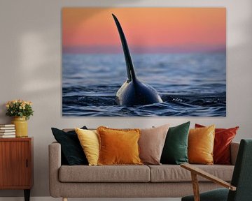 Orcas und Norwegen; die perfekte Kombination von Koen Hoekemeijer