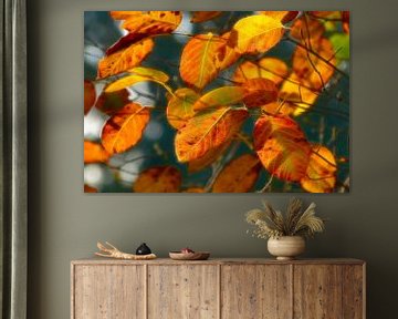 Currantly... (Herfstbladeren in warmte tinten) van Caroline Lichthart