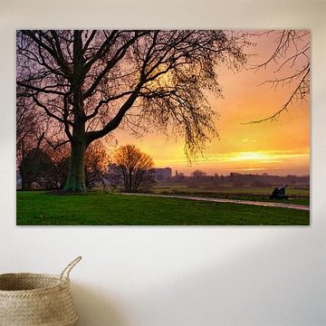 The Bossche Trousers