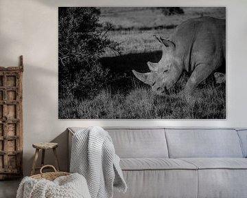 De neushoorn in de Zuid-Afrikaanse savanne van Floor Bogaerts