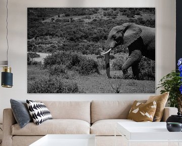Een portret van een olifant. van Floor Bogaerts
