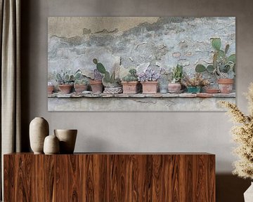Rij cactussen en succulenten in terracotta potten van Annavee