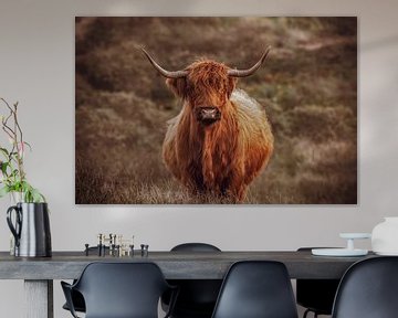 Portrait of a beautiful Scottish Highlander by Dirk van Egmond