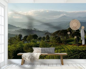 Panorama Tea plantation Java, Indonesia by Ellis Peeters