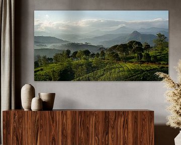 Panorama Theeplantage Java, Indonesië van Ellis Peeters