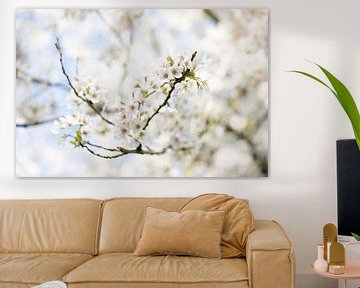 La fleur du Japon sur Voorbeeld Fotografie
