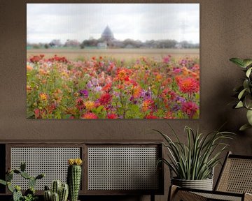 Dahliava field with view of Dever House