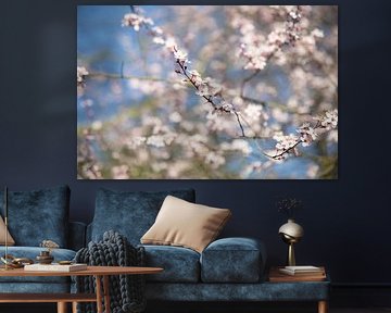 Spring-sweet sur Voorbeeld Fotografie