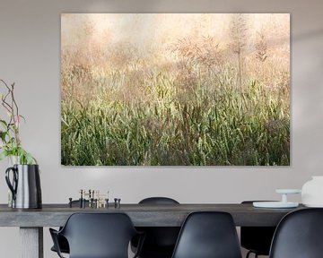 Tarwe veld met gras pluimen van Peter de Kievith Fotografie
