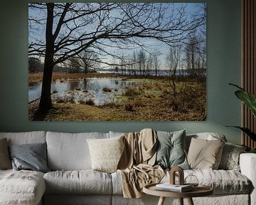 Une journée d'hiver ensoleillée au bord de l'eau sur Ans Bastiaanssen