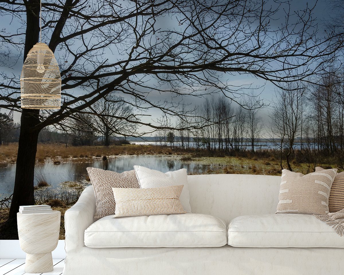Raumvorschau