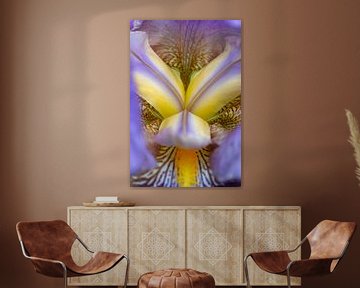 Core of blue-purple lis (iris) by Tot Kijk Fotografie: natuur aan de muur