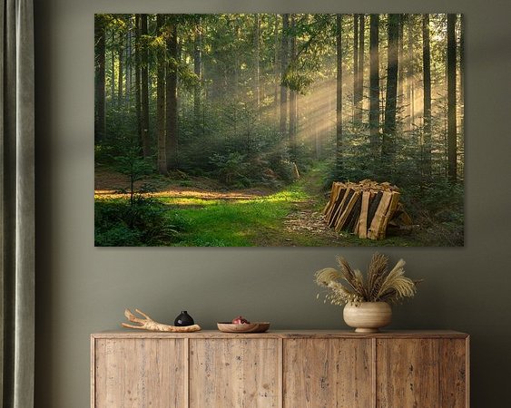 Aperçu de la chambre