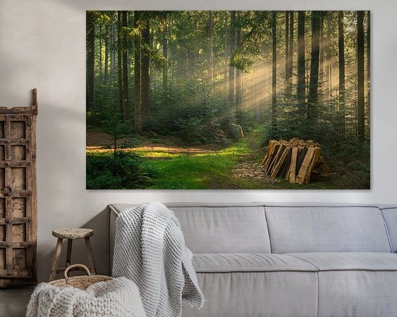 Aperçu de la chambre