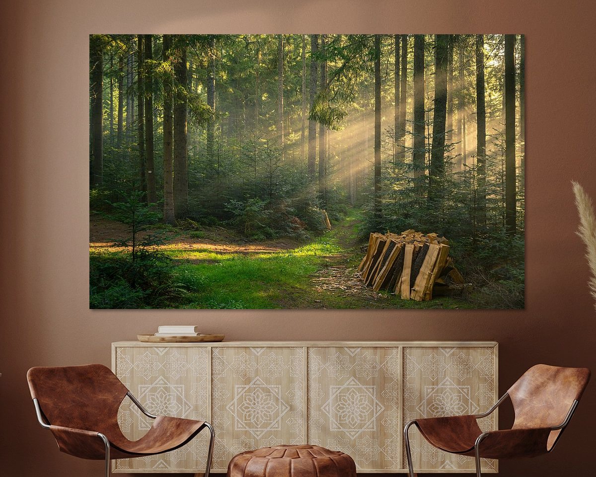 Voorbeeld van het werk in een kamer