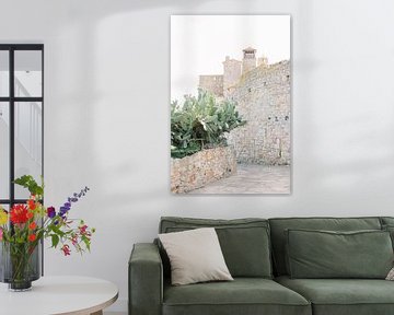 Pals | Mittelalterliches Dorf in Spanien | Kaktus mit alter Steinmauer von Milou van Ham