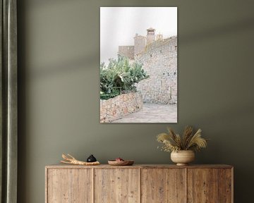 Pals | Middeleeuws dorp in Spanje | Cactus met oude stenen muur van Milou van Ham
