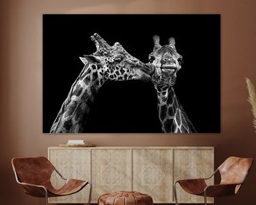 Romantische giraffes in zwartwit van Chihong