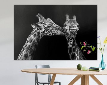 Romantic giraffes in black and white by Chihong