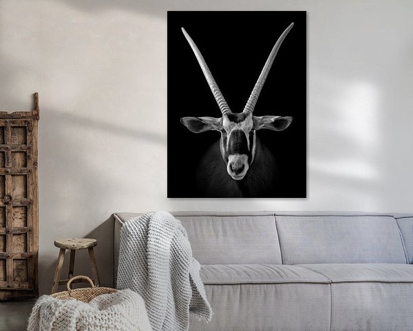 Afrikanische Oryx (Antilope)