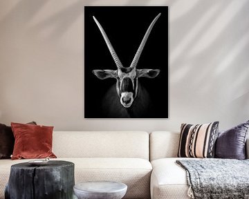 Afrikaanse oryx ( antiloop - antilope ) van Chihong