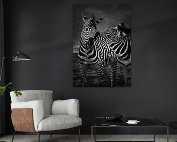 Zebra coast zebra by Chihong