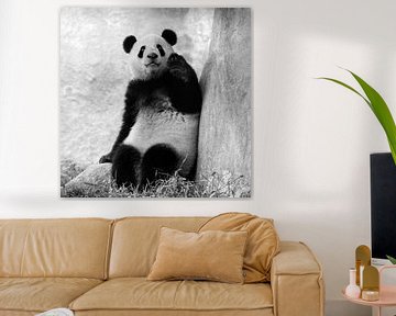 Panda beer zwaait met hand van Chihong