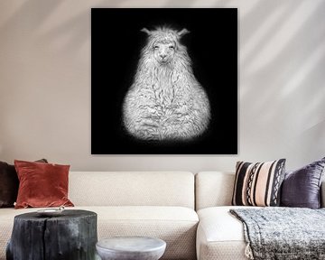 Seated alpaca