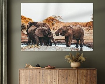 Elephants at waterhole || Botswana, Chobe National Park by Suzanne Spijkers