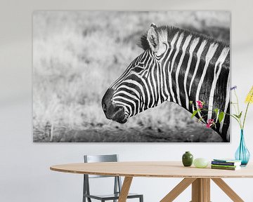 Zebra || Safari, Kunstdruck, Südafrika || Kruger National Park von Suzanne Spijkers