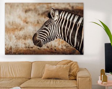 Zebra || Safari, Art Print, Zuid-Afrika || Kruger Nationaal Park