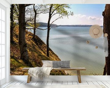 Hochufer bei Lietzow, Großer Jasmunder Bodden