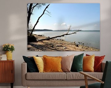Natuurlijk strand, lagune in Lietzow, Great Jasmund Bodden, Rügen van GH Foto & Artdesign