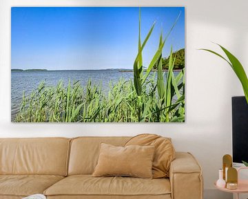 Natuurlijk strand, lagune in Lietzow, Great Jasmund Bodden, Rügen van GH Foto & Artdesign
