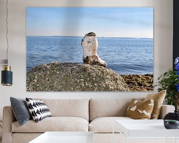 Steinstiefel am Gelben Ufer, Halbinsel Zudar auf Rügen von GH Foto & Artdesign