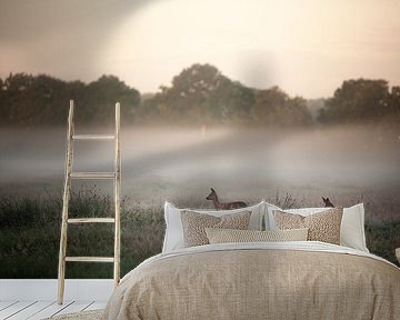 Deer in morning light by Casper Zuidwijk