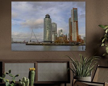 Rotterdams uitzicht van Javier Alonso
