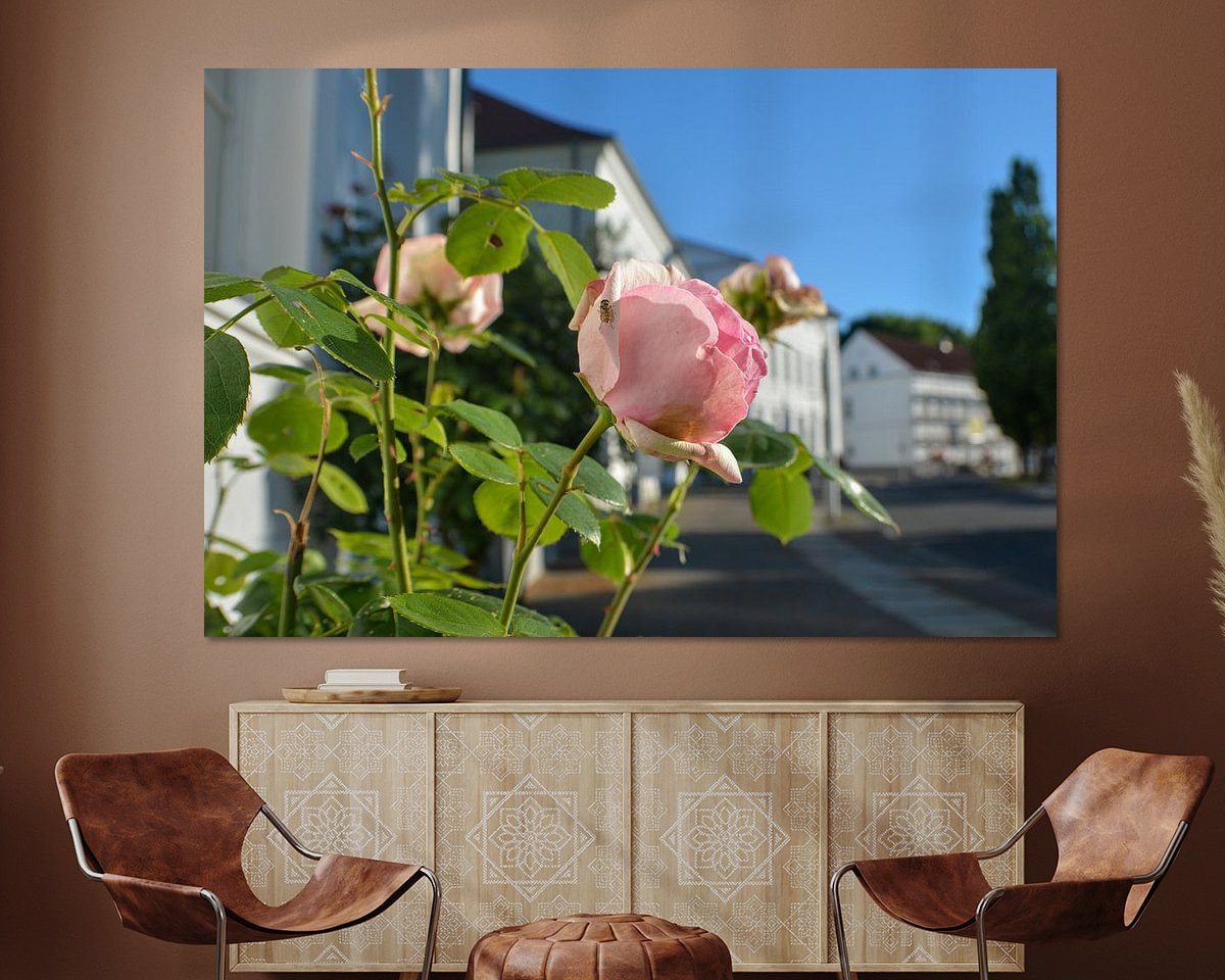 Raumvorschau