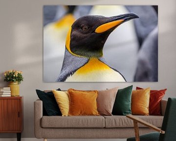 LP 71318957 close up konings pinguin van BeeldigBeeld Food & Lifestyle