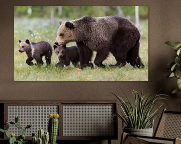 Brown bear family by Daniela Beyer