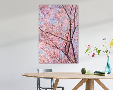 Trees with cherry blossoms by Mickéle Godderis