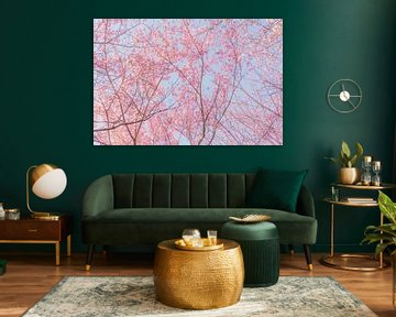 Bomen met roze kersenbloesems van Mickéle Godderis