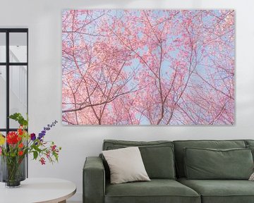 Bomen met roze kersenbloesems van Mickéle Godderis