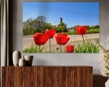 neuer Leuchturm  Kap Arkona, rote Tulpen von GH Foto & Artdesign